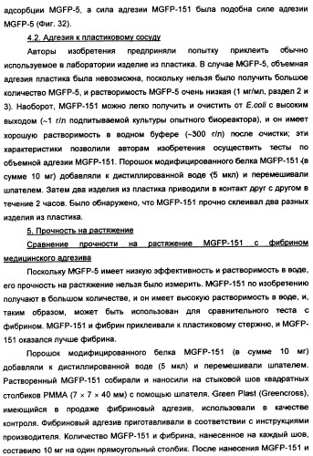 Биоадгезив мидии (патент 2349599)