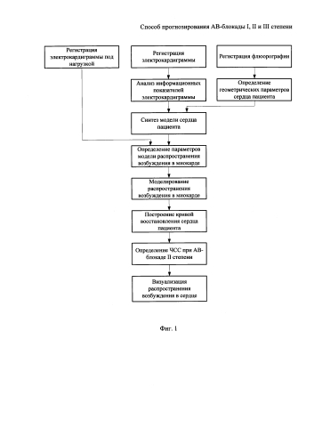 Способ прогнозирования ав-блокады i, ii и iii степени (патент 2591839)