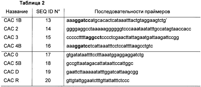 Способ хромосомной интеграции и замены последовательности днк в clostridia (патент 2464317)