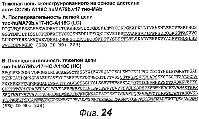 Анти-cd79b антитела и иммуноконъюгаты и способы их применения (патент 2511410)