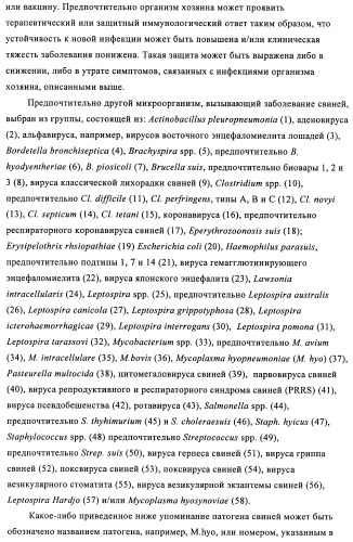 Поливалентные иммуногенные композиции pcv2 и способы получения таких композиций (патент 2488407)