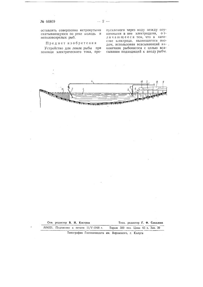 Устройство для ловли рыбы (патент 66809)