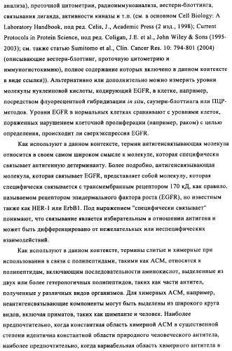 Антигенсвязывающие молекулы, которые связывают egfr, кодирующие их векторы и их применение (патент 2488597)