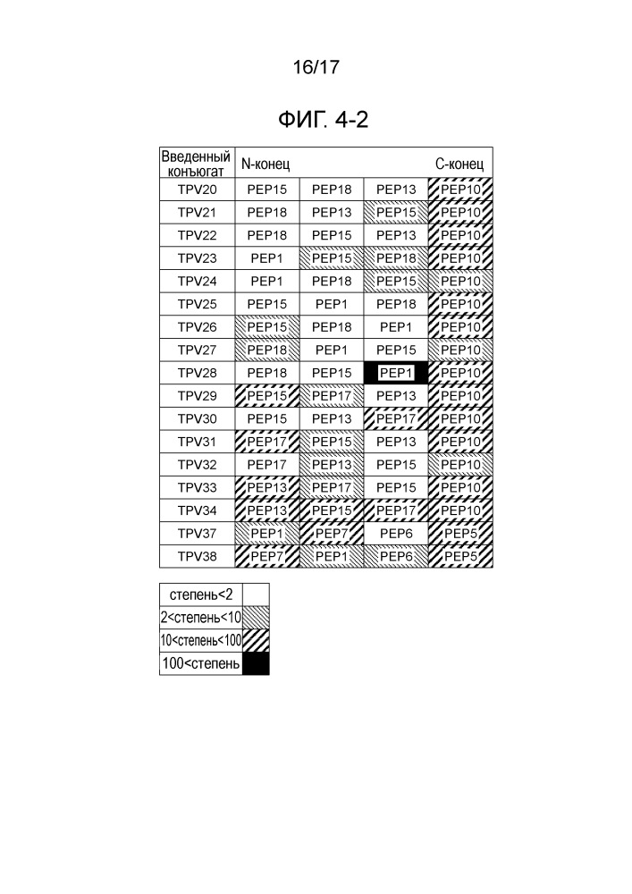 Новый пептид, имеющий 4 связанных ctl-эпитопа (патент 2636549)