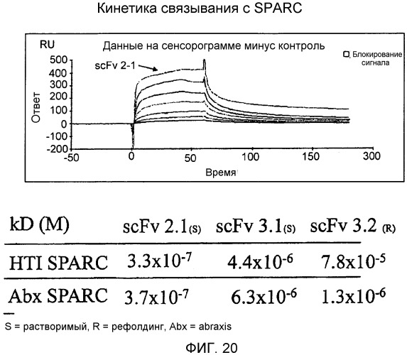 Sparc, связывающийся с scfv (патент 2477728)