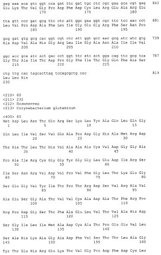 Гены corynebacterium glutamicum, кодирующие белки резистентности и толерантности к стрессам (патент 2303635)