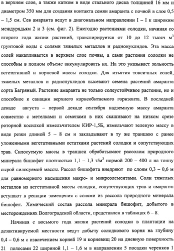 Фиторемедиационный способ очистки почв от тяжелых металлов (патент 2338353)