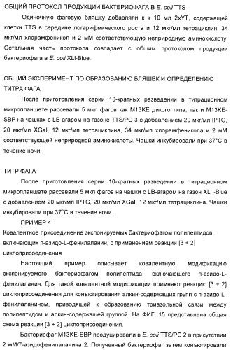 Селективная посттрансляционная модификация экспонируемых фагами полипептидов (патент 2459866)