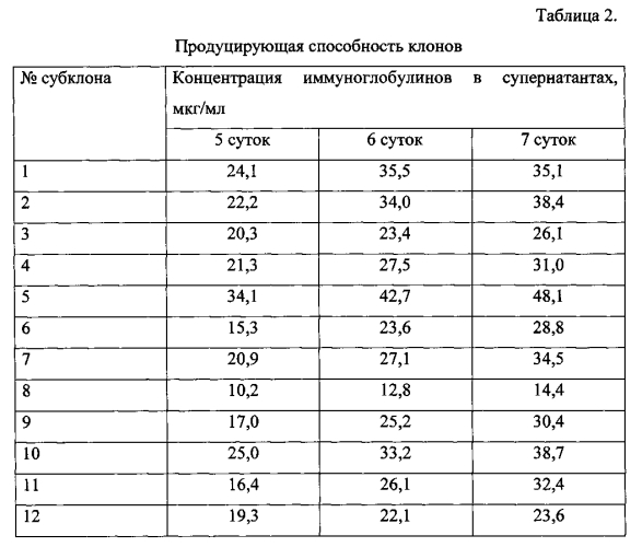 Штамм клеток яичников китайского хомячка - продуцент рекомбинантного антитела против фактора некроза опухоли альфа человека (патент 2556816)