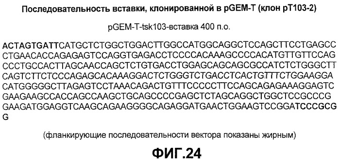 Композиции, реагенты, наборы и способы для диагностики, мониторинга и лечения ожирения и/или диабета (патент 2420583)