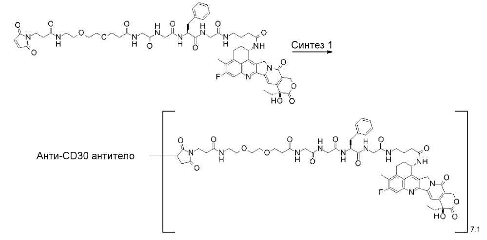 Конъюгат антитело-лекарственное средство (патент 2664465)