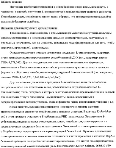 Способ получения l-треонина с использованием бактерии, принадлежащей к роду escherichia, в которой инактивирован оперон rspab (патент 2337961)