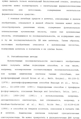 Scfv против egfrviii с улучшенной цитотоксичностью и выходом, иммунотоксины на их основе и способы их применения (патент 2317999)