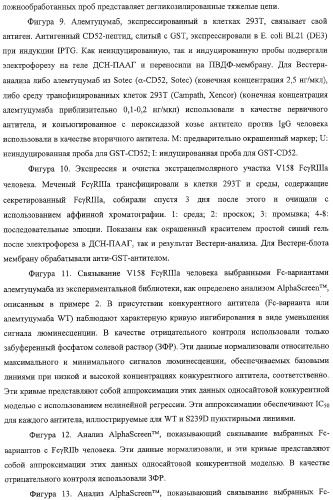 Антитело, содержащее fc-вариантную часть (варианты), фармацевтическая композиция, содержащая антитело, и способ лечения млекопитающего (патент 2325186)