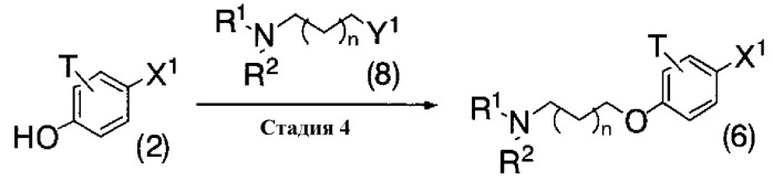 Фенилпиразольные производные (патент 2480456)