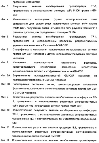 Антитела-нейтрализаторы гранулоцитарно-макрофагального колониестимулирующего фактора человека (патент 2458071)