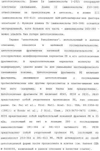 Scfv против egfrviii с улучшенной цитотоксичностью и выходом, иммунотоксины на их основе и способы их применения (патент 2317999)