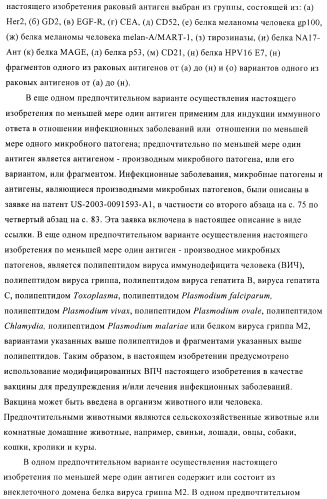 Вирусоподобные частицы, включающие гибридный белок белка оболочки бактериофага ар205 и антигенного полипептида (патент 2409667)