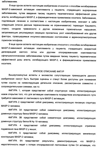 Способ лечения заболеваний, связанных с masp-2-зависимой активацией комплемента (варианты) (патент 2484097)