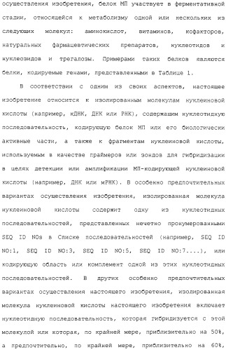 Гены corynebacterium glutamicum, кодирующие белки метаболических путей (патент 2306339)