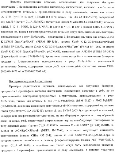 Способ получения l-аминокислоты с использованием бактерии, принадлежащей к роду escherichia (патент 2395579)