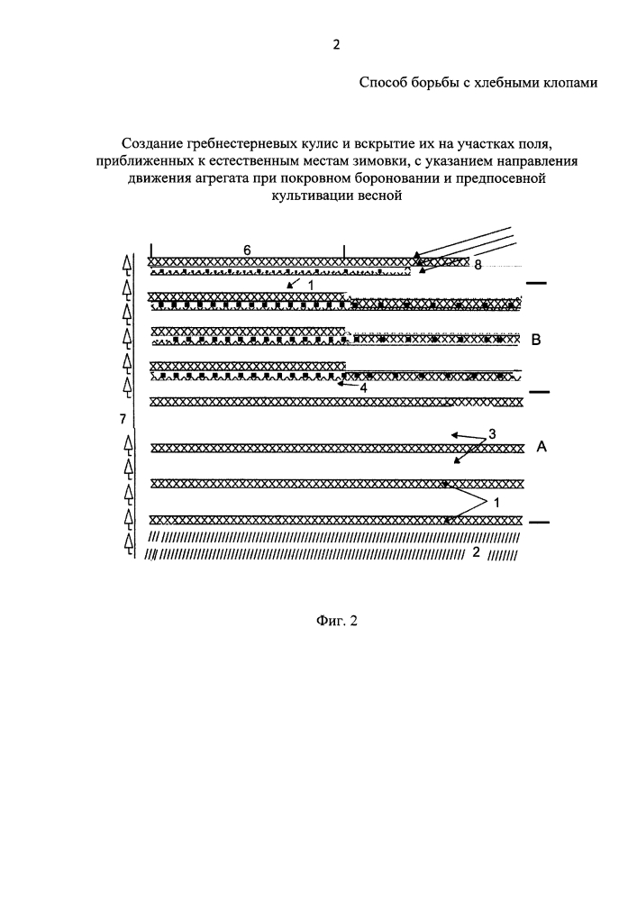 Способ борьбы с хлебными клопами (патент 2605068)