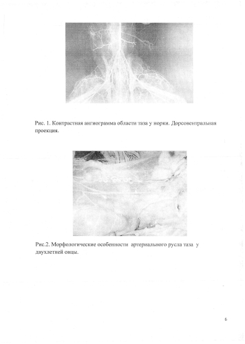 Состав жидкости для изучения и демонстрации артериального русла животных (патент 2583074)