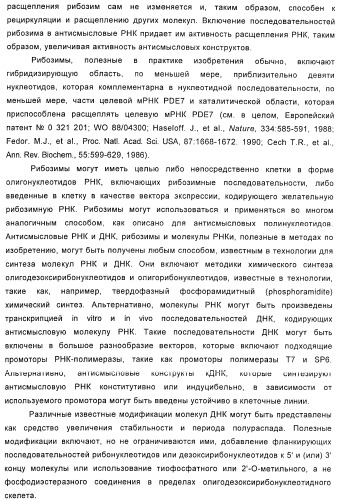 Использование ингибиторов pde7 для лечения нарушений движения (патент 2449790)