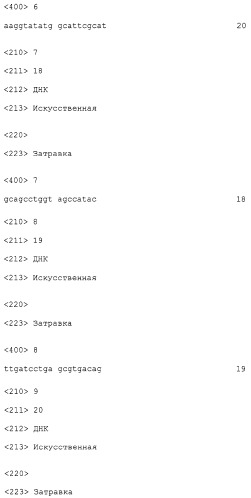 Полипептиды, обладающие протеазной активностью, и нуклеиновые кислоты, кодирующие указанные полипептиды (патент 2318018)