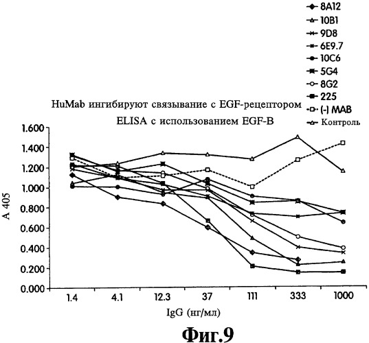 Человеческие моноклональные антитела к рецептору эпидермального фактора роста (egfr), способ их получения и их использование, гибридома, трансфектома, трансгенное животное, экспрессионный вектор (патент 2335507)