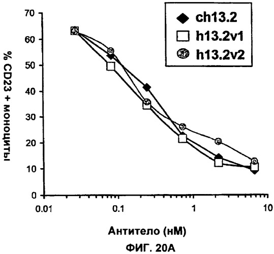 Антитела против интерлейкина-13 человека и их применение (патент 2427589)