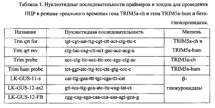 Способ определения уровня экспрессии химерного гена trim5a (патент 2592675)