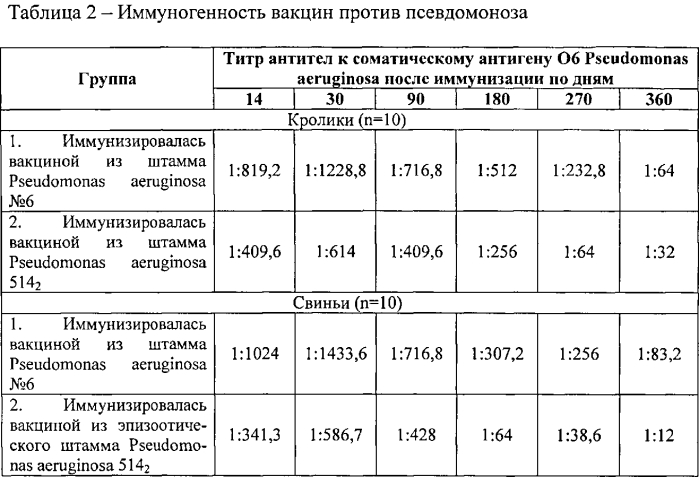 Штамм бактерий pseudomonas aeruginosa для изготовления вакцины против псевдомоноза свиней (патент 2553558)