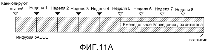 Моноклональное антитело против addl и его применения (патент 2567808)