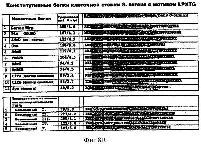 Способ идентификации, выделения и получения антигенов определенного патогена (патент 2289817)