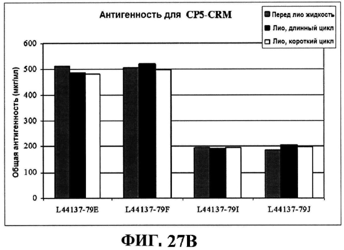 Стабильные иммуногенные композиции антигенов staphylococcus aureus (патент 2570730)