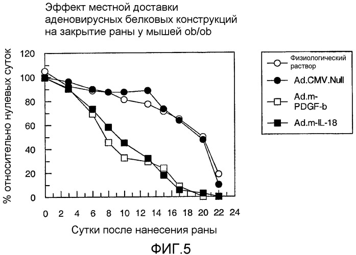 Способы заживления ран введением il-18 человека (патент 2387455)