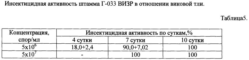 Штамм гриба lecanicillium muscarium, обладающий инсектоакарицидной и антибиотической активностью для борьбы против сосущих вредителей, грибных и бактериальных болезней (патент 2598251)