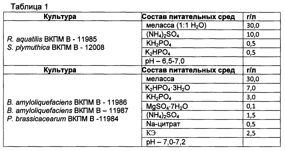 Штаммы бактерий родов bacillus, pseudomonas, rahnella, serratia, обладающие фитопротекторной и ростостимулирующей активностью, и препарат на основе этих штаммов (патент 2595405)