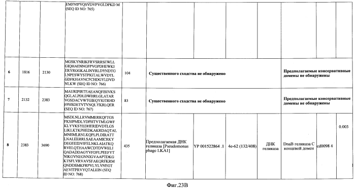 Бактериофаг, обладающий активностью против pseudomonas aeruginosa, белки бактериофага и способы их применения (патент 2580248)