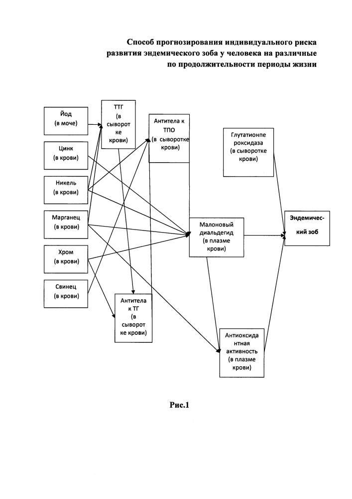 Способ прогнозирования индивидуального риска развития эндемического зоба у человека на различные по продолжительности периоды жизни (патент 2658465)