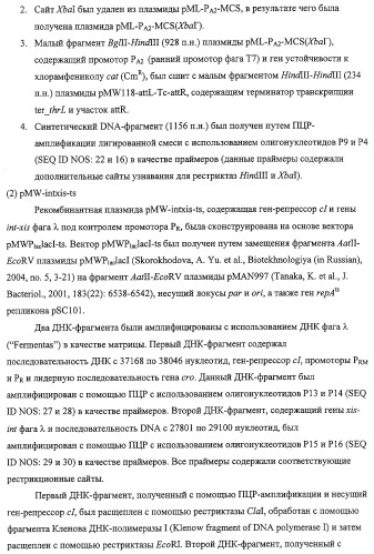 Способ получения l-треонина с использованием бактерии, принадлежащей к роду escherichia, обладающей усиленной экспрессией оперона fucpikur (патент 2318870)