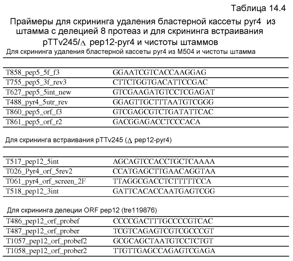 Клетка нитчатых грибов с дефицитом протеаз и способы ее применения (патент 2645252)