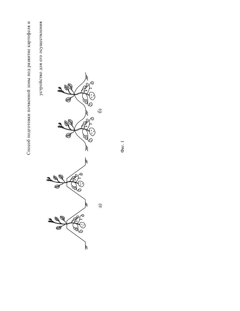 Способ подготовки почвенной зоны под развитие картофеля и устройство для его осуществления (патент 2629283)