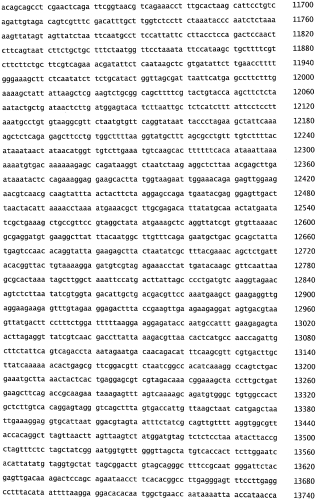 Бактериофаг, обладающий активностью против pseudomonas aeruginosa, белки бактериофага и способы их применения (патент 2580248)