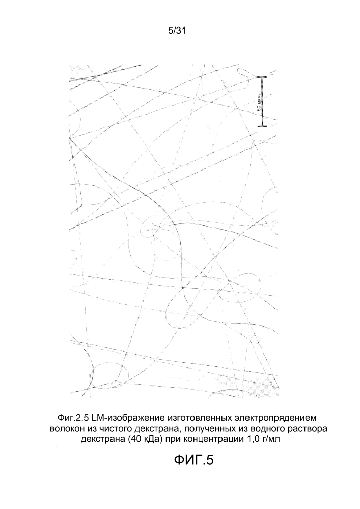 Формирование конъюгированного белка электропрядением (патент 2603794)