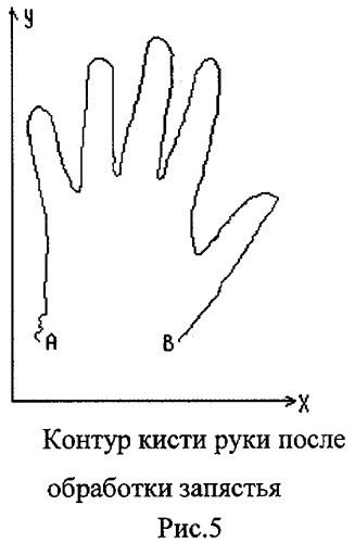 Способ и система для биометрической идентификации личности по изображению кисти руки (патент 2464634)