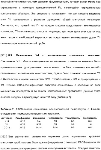 Специфические антитела человека для избирательной терапии рака (патент 2316564)