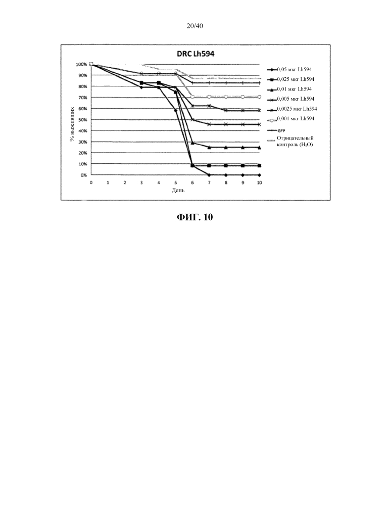 Подавление экспрессии генов у насекомых-вредителей (патент 2619219)