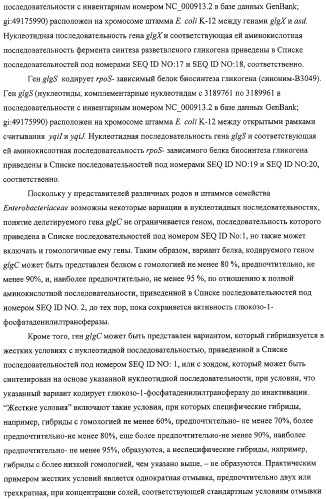 Способ получения l-аминокислот с использованием бактерии, принадлежащей к роду escherichia, в которой разрушен путь биосинтеза гликогена (патент 2315809)